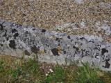 image of grave number 796030